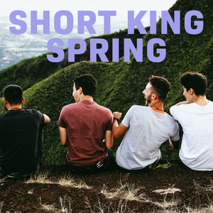 Album cover for Short King Spring by 23.
