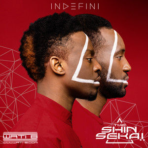Album cover for Indéfini.