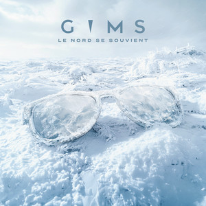 Album cover for LE NORD SE SOUVIENT by GIMS.