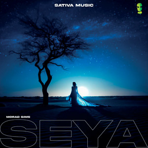 Album cover for Seya (Sped Up) by GIMS.