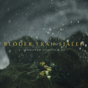 Album cover for BLÖDER FRÅN SJÄLEN by 23.