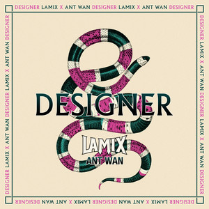 Album cover for Designer (feat. Ant Wan) by Ant Wan.