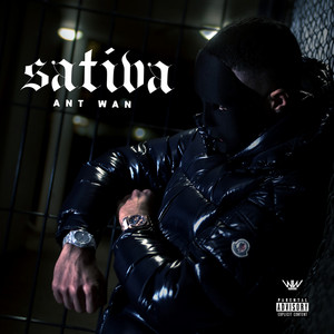 Album cover for Sativa by Ant Wan.
