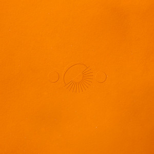 Single cover for DANDY OG by disiz.