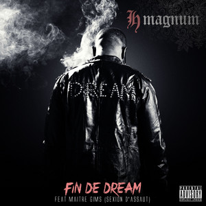 Single cover for Fin de Dream.