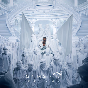 Single cover for TE AMO by GIMS.