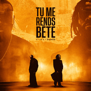 Single cover for TU ME RENDS BÊTE by GIMS.